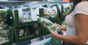 Les salades en sachet «trop contaminées par les pesticides», alerte 60 Millions de consommateurs